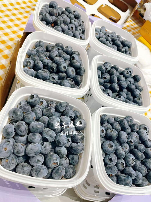 宏丰精选 云南花香蓝莓，口感纯甜，超级好吃，活动价39.9一桶 商品图11