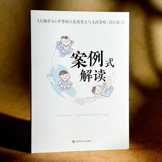 《上海市0-3岁婴幼儿发展要点与支持策略（试行稿）》案例式解读 托班观察与照护 家园共育 幼教手边书 商品图3
