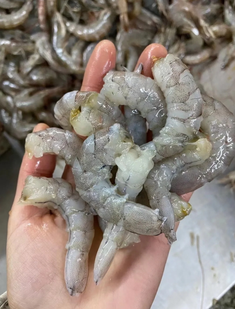 北海湾手剥虾仁