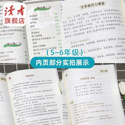 读者诵读5-6年级 小学生12周养成阅读好习惯 紧贴教材随书附赠音频 读者请少年阅读丛书系列 商品图1