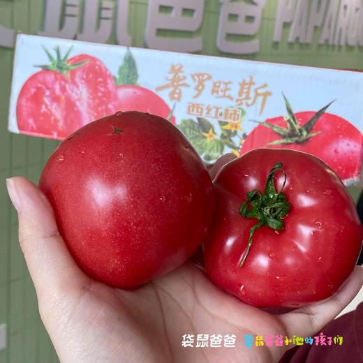 【美味生鲜丨普罗旺斯水果西红柿4.5斤装】 高标准培育，自然成熟无激素，当日采摘发货，确保番茄新鲜度，果香浓郁沙瓤多汁，皮薄肉厚，汁水丰沛，孕妇宝宝都能吃，满口都是小时候的味道 商品图2