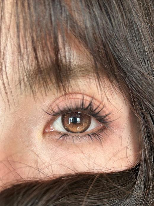 liliyacon日抛 阳光脉络 直径14.5mm着色13.8mm（10片装） 商品图4