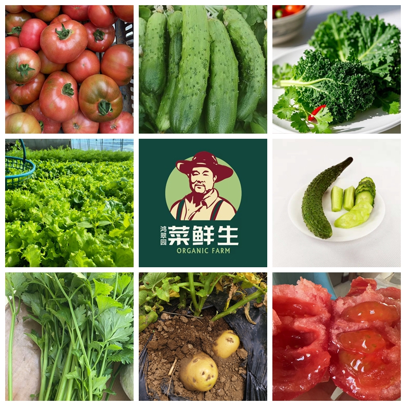 鸿翠园 有机沙拉蔬菜套餐