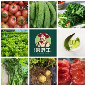 鸿翠园 有机沙拉蔬菜套餐