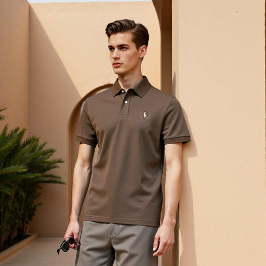 夏季经典小马标短袖polo衫含羊毛柔顺透气商务休闲T恤   XLM-CM8687148 商品图6