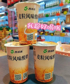 新疆麦粒酸奶