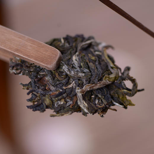 【预售8折，买7送1】2026《景迈》古树春茶 生茶 357克/50克 商品图1