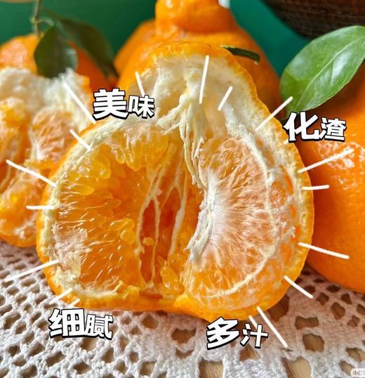 周二取货：【大雅柑】一份4斤左右，浓甜爆汁，果肉嫩，果味浓郁。 商品图1