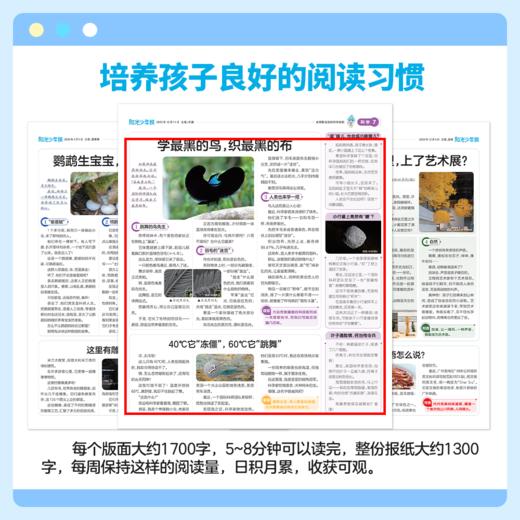 【阳光少年报】小学版全年订阅 周投团购（≥6人） 商品图4