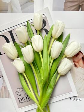 维珍白郁金香10枝