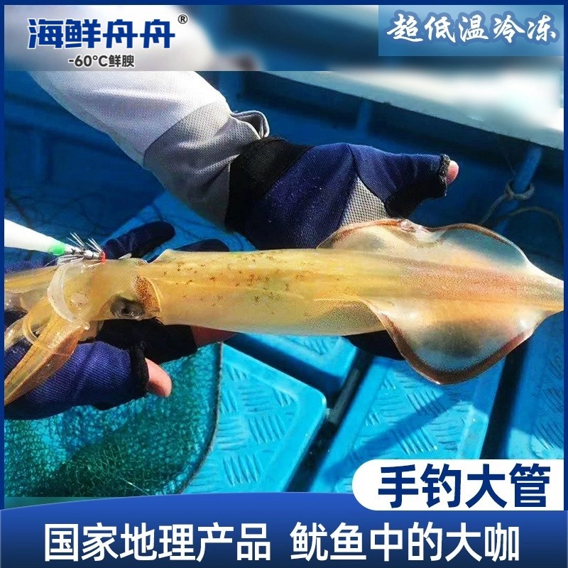 【野生】超低温  活冻手钓大管 300g-500g