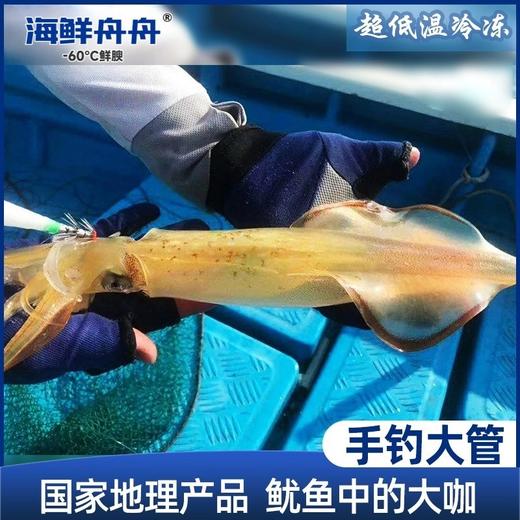【野生】超低温  活冻手钓大管 300g-500g 商品图0
