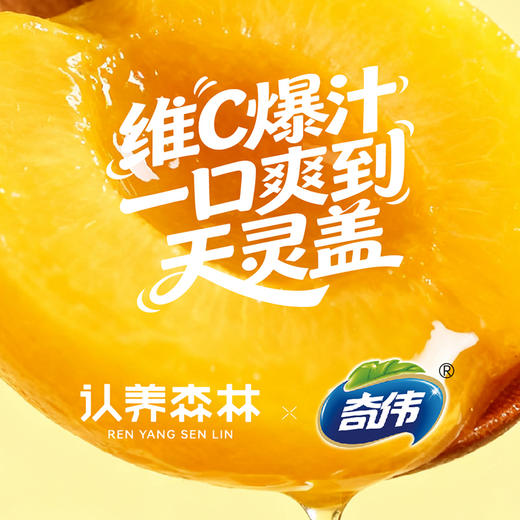 【认养森林×奇伟】爆汁黄桃 商品图5