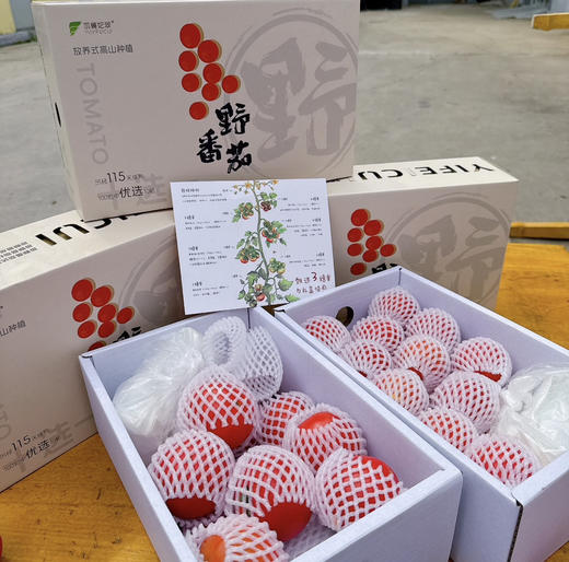高糖野番茄 商品图5