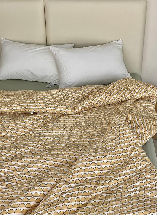 【清仓99元/床】全棉春秋被芯 4.5斤重适合22-25℃以上的温度【不支持退换货】 商品图2