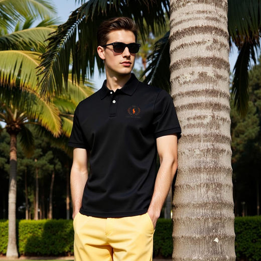 夏季经典小马标短袖polo衫含羊毛柔顺透气商务休闲T恤   XLM-CM8687148 商品图3