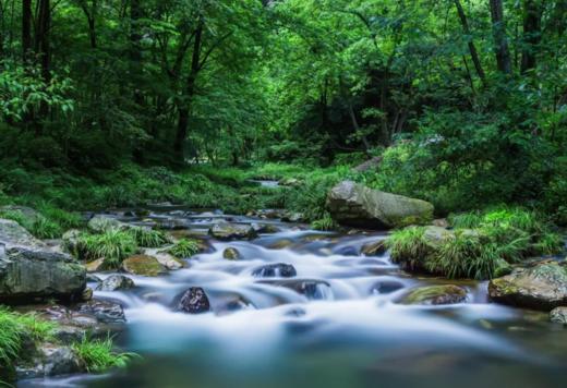 【五一华为专团】经典湘西大环线张家界+芙蓉镇+凤凰古城深度5天4晚 商品图3