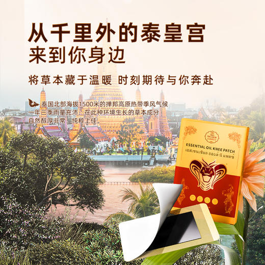 泰国泰蛇本草贴 商品图2