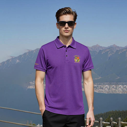 100%棉男装短袖T恤夏季高档polo衫翻领休闲男上衣   XLM-CM8687191 商品图0