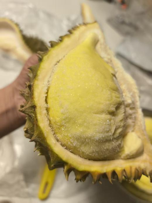 液氮金枕周榴莲 商品图6