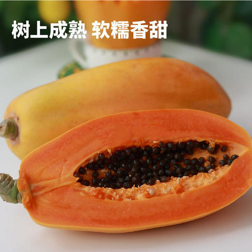 【树上自然熟】海南·红心牛奶木瓜 顺丰/京东发货 商品图1