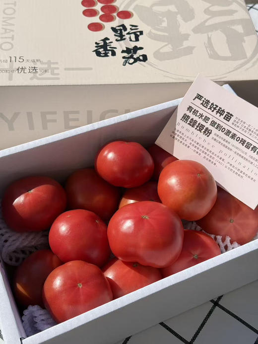 高糖野番茄 商品图4