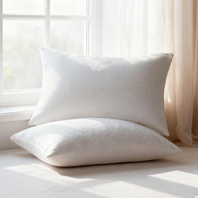 【水星家纺】臻享抗菌对枕