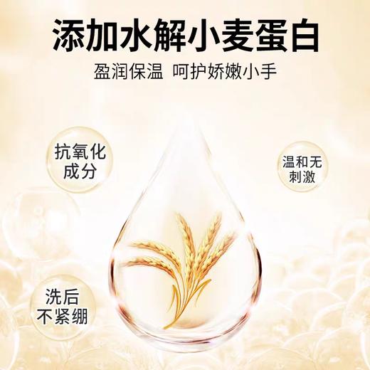 蔬果园茶香泡泡洗手液500ml 商品图3