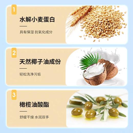 蔬果园茶香泡泡洗手液500ml 商品图4