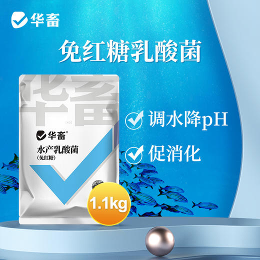 华畜水产乳酸菌1.1kg 复合菌种肠道健康呼吸好 商品图0