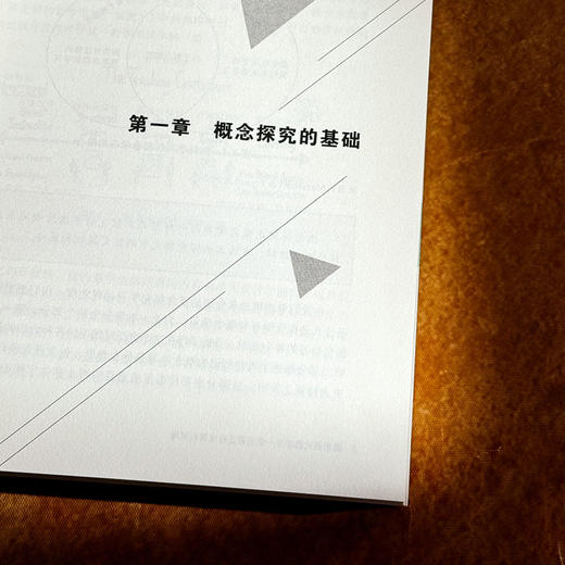 概念探究教学 促进可迁移理解的策略 大夏书系 培养学习力译丛 深度学习 商品图7