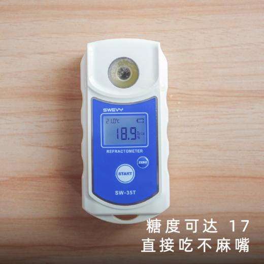 艾格吃饱了2026年芒果凤梨热带水果浓香 商品图2