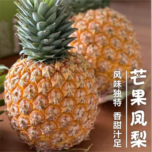 海南树上熟芒果凤梨 商品图0