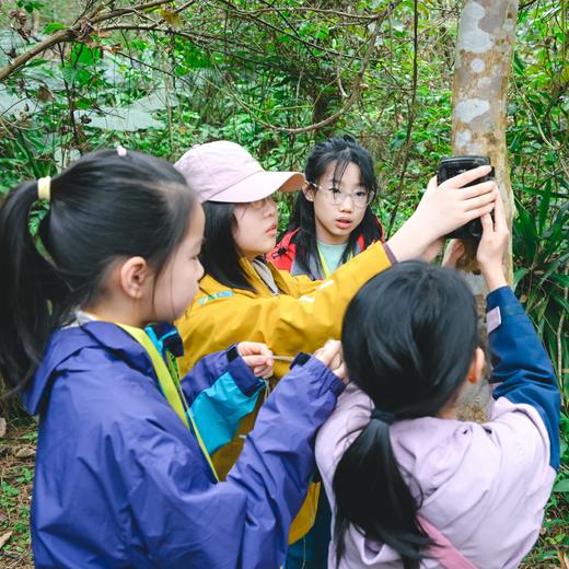 【暑假】何以岭南，在百越之地约会广西神奇生物【山海经】 7天6晚 商品图3