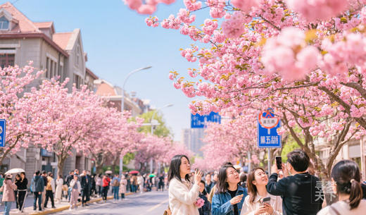 津上添花·春季:天津万国建筑摄影与春日海棠花行摄5天 商品图0