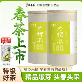 2026新茶 碧螺春茶叶明前早春绿茶精品特级嫩芽100g*2罐