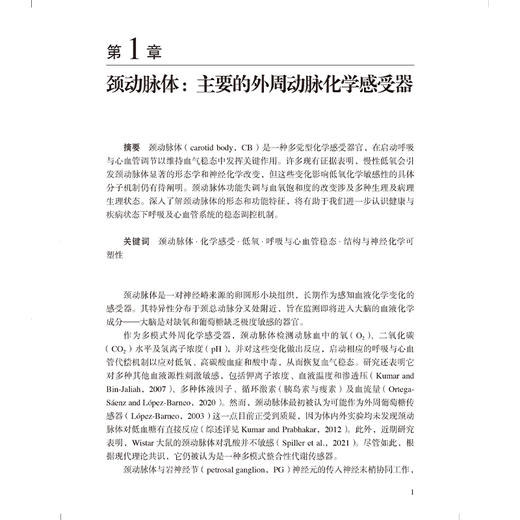 颈动脉体的形态功能和神经化学特性 韩芸峰 唐荣华 主译 全面介绍颈动脉体的形态功能结构 9787565935770 北京大学医学出版社 商品图4