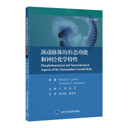 颈动脉体的形态功能和神经化学特性 韩芸峰 唐荣华 主译 全面介绍颈动脉体的形态功能结构 9787565935770 北京大学医学出版社 商品图1