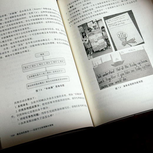 概念探究教学 促进可迁移理解的策略 大夏书系 培养学习力译丛 深度学习 商品图12
