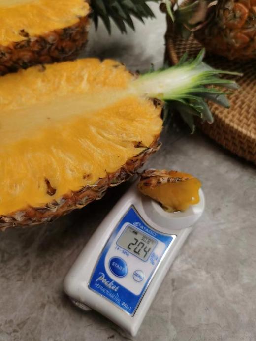 【会员39.5/颗】海南空运芒果凤梨 大果 3斤左右/颗 商品图5