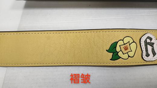 191202983144 COACH 蔻驰 可替换肩带斜挎包肩带32800 商品图5