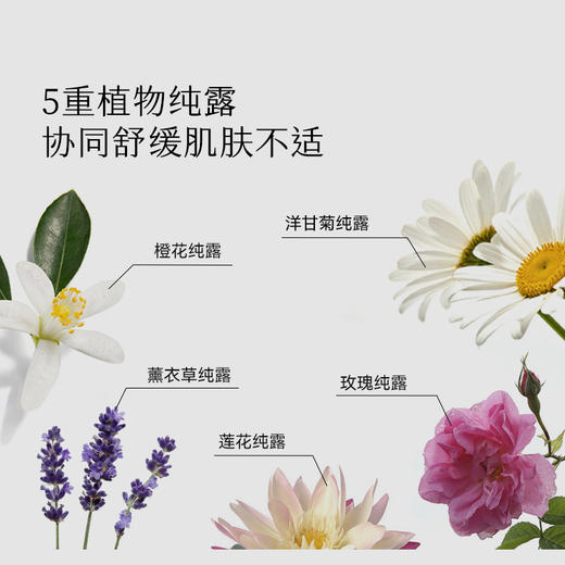 枕草子 橙花洋甘菊植物舒缓纯露 褪红温和保湿舒缓敏感协同舒缓肌肤不适 商品图2
