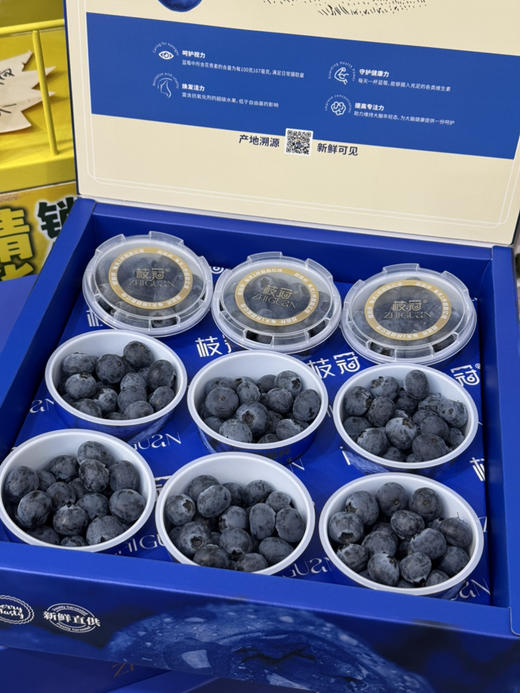 枝冠蓝莓礼盒装(9杯装） 商品图0