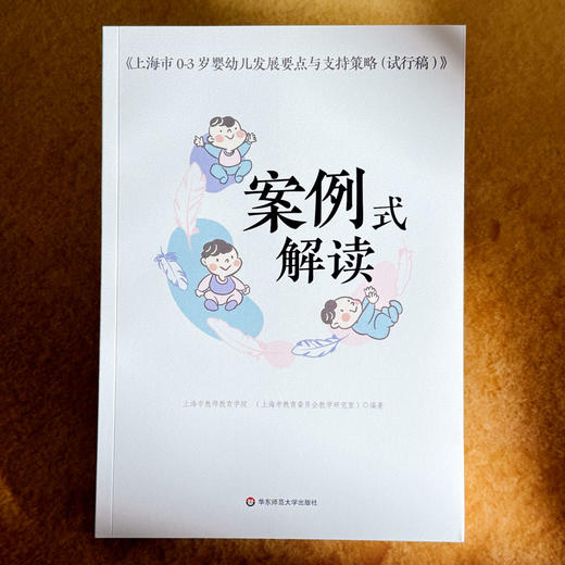 《上海市0-3岁婴幼儿发展要点与支持策略（试行稿）》案例式解读 托班观察与照护 家园共育 幼教手边书 商品图1