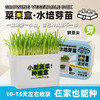 【29.9元任选3大盒❗️水培盆栽】柚芽儿童种植水培植物盆栽 小学生发芽蔬菜生长盒 水养无土栽培 商品缩略图2