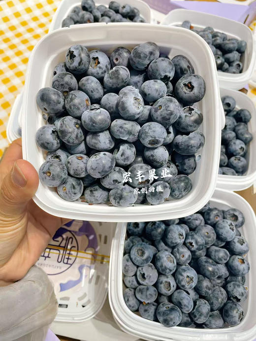 宏丰精选 云南花香蓝莓，口感纯甜，超级好吃，活动价39.9一桶 商品图8