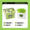【29.9元任选3大盒❗️水培盆栽】柚芽儿童种植水培植物盆栽 小学生发芽蔬菜生长盒 水养无土栽培 商品缩略图4