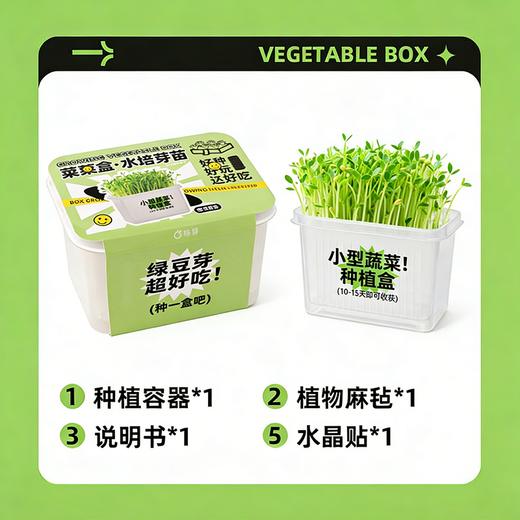 【29.9元任选3大盒❗️水培盆栽】柚芽儿童种植水培植物盆栽 小学生发芽蔬菜生长盒 水养无土栽培 商品图4