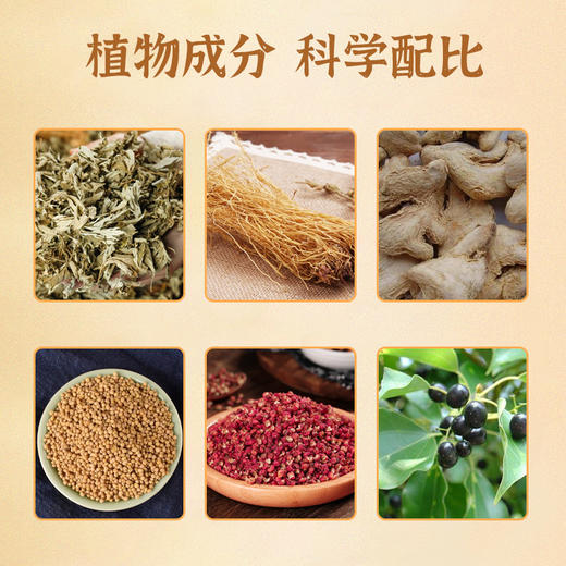 【夏养三伏❗️传承古法三伏贴】植物成分，科学配比，穴位贴敷，温灸养护！天艾灸贴穴位贴夏养儿童成人 商品图1