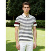 100%液氨棉男士修身时尚撞色条纹款休闲百搭翻领短袖T恤   XLM-CAC8687213 商品缩略图2